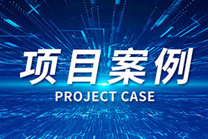 項(xiàng)目案例表